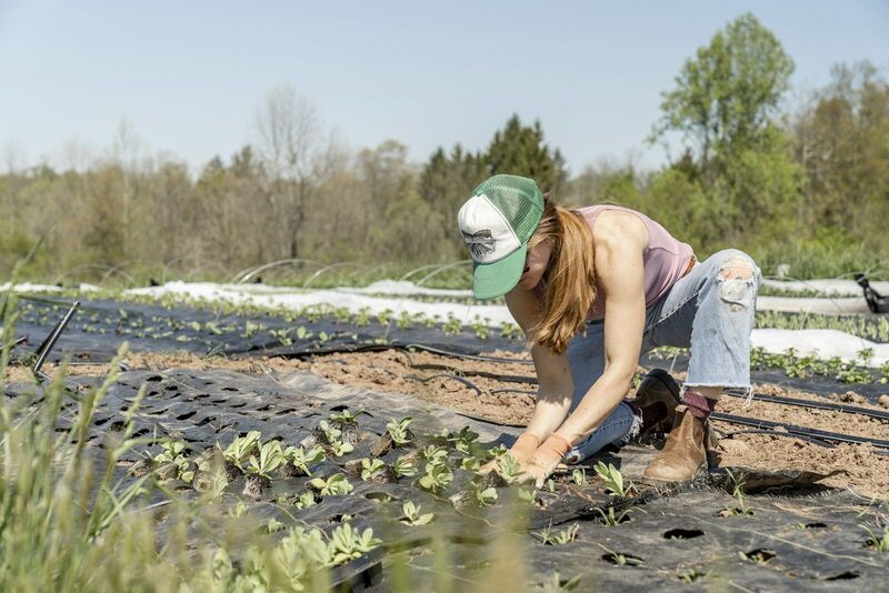 Gardener kneeling and planting seedlings by hand in a large garden bed