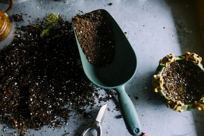 Green garden scoop full of rich soil beside sharp secateurs on a workbench